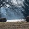 Quaker Lake between two hay rolls