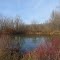 Soap Creek