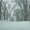 Michigan winter road