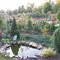 Flower Garden