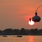 Roosting on the Sun (Round Lake, Rollin, MI)