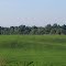 Bucolic Vista, Monroe Road, Tipton, Michigan