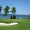 Quarry #9 Green