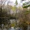 Beautiful Lake