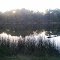 Inwood lake