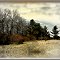 Dormant Nature Center / Winterruhe im Naturpark