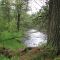 S. Branch Boardman River