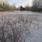 Ojibway Prairie pond.