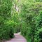 Lasalle woodlot.
