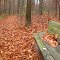 Otto Biological Preserve in late fall