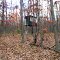 Watch in Otto Preserve