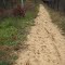 Very sandy and hilly Consumer Energy Trail of Otto Preserve
