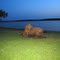 Lake McMurtry, Stillwater, Oklahoma
