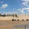 Silver Lake Dunes