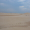 Michigan Sand Dunes