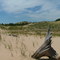 Silver Lake Sand Dunes