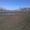 son's field