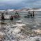 Frozen Pilings