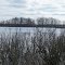  Spatterdock Lake