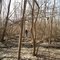 Cliff Cave Park
