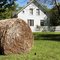 Mastodon State Park museum annex (with a hay bale)