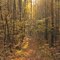 Trail to the Sun