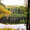 Hoist Lakes, Huron Nat'l Forest