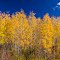 IMG_2010_10_15_8821