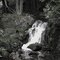 Fumee Falls - Desaturated