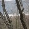 Lilly Lake behind woods viewed from Born Street