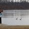 Don't swim into icy Paradise Lake