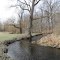 Chrsitiana Creek running in Milo Barnes Park
