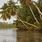 Tauri River, Gulf, Papua New Guinea