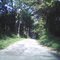 Wilson rd.