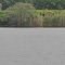 Bristol Community College Natural Area Comorant and Soccer