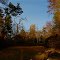 fall