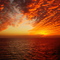 Atardecer Cedreño.
