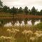 Diego Dam
