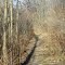 A shadow leads hunters (Murphy Lake State Game Area)