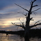 Lake Guerrero (tamaulipas)