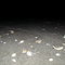 La Pesca en la noche