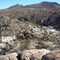 Catavina, Blue palm canyon