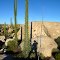 Late Afternoon in the Central Desert