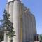 Silos de alimento para vacas.