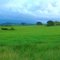 Paisaje 4