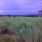 Naturaleza