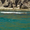 Colonia de Lobos Marinos 1