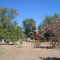PARQUE DE LA PAZ EN INVIERNO