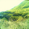 sierra de Santa Rosa - Muzquiz Coahuila