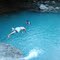 Charco Azul